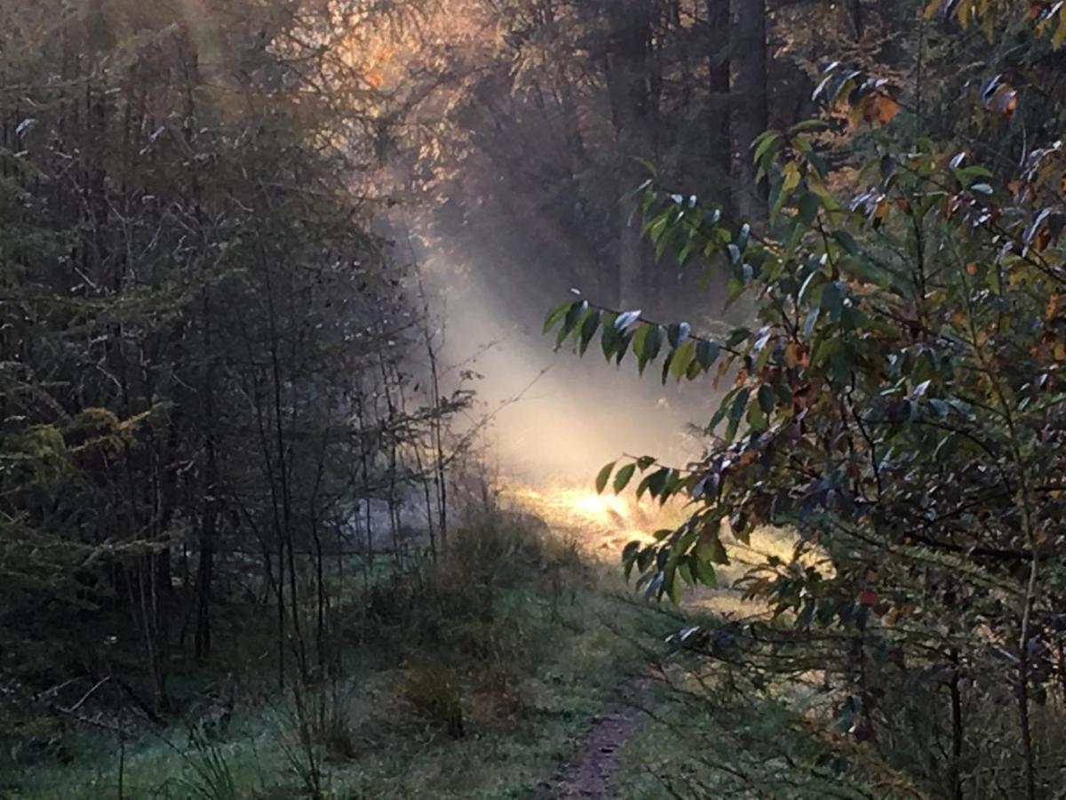 Luxe Natuurhuisje Met Jacuzzi En Haard In Drenthe, Echten Luaran gambar